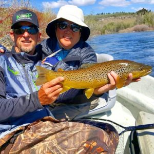 South Fork Brown Trout