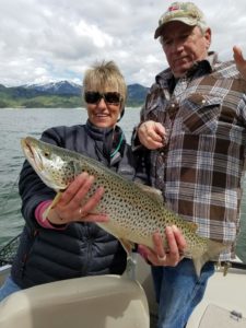 palisades reservoir guided fishing brown trout