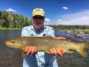 South Fork Brown trout