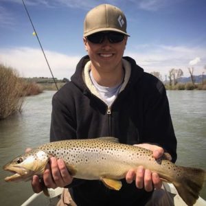 south fork brown trout