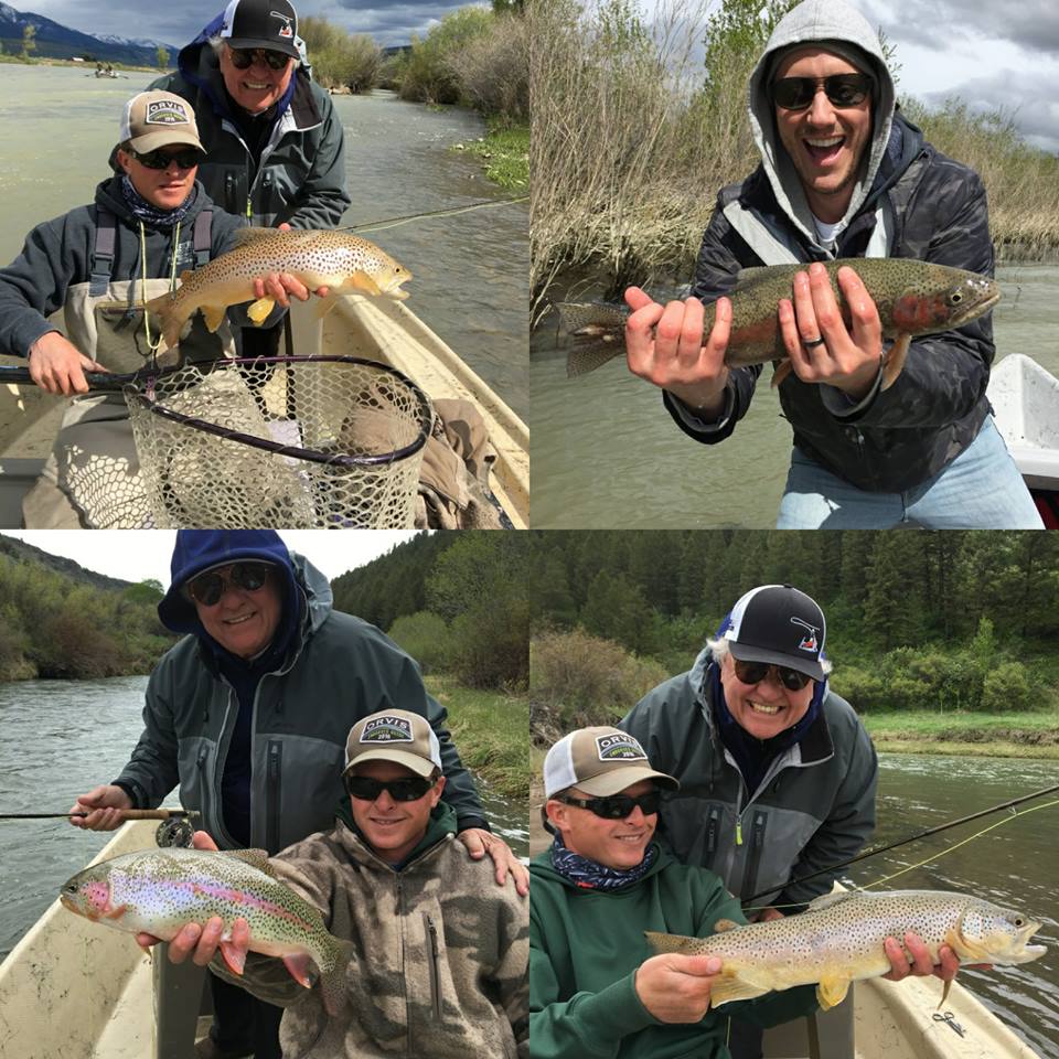 Snake River trout photos