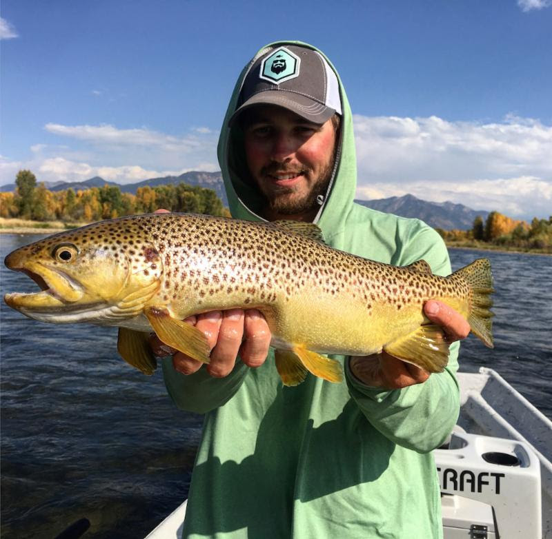 south fork brown trout tanner lewis