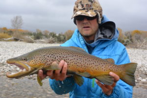 Fall Brown Trout Fishing