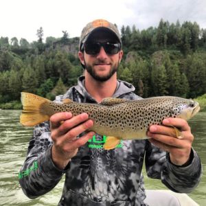 South Fork Brown Trout | Snake River Fishing Report
