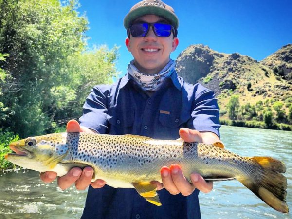 Snake River Fishing Report | Brown Trout