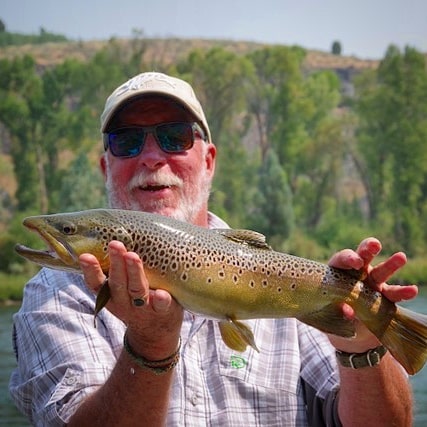 South Fork of the Snake River Fishing Report | Brown Trout