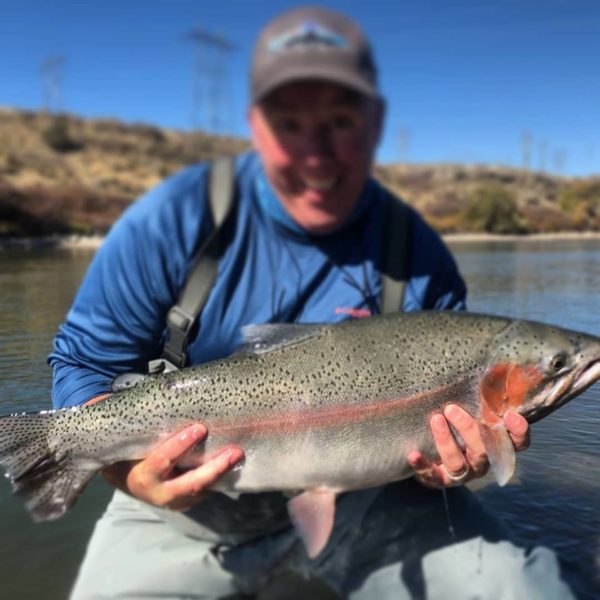 Snake River Rainbow | Fishing report