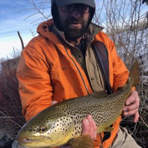 snake river brown trout