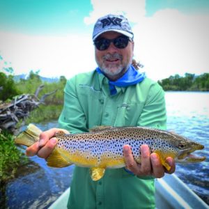 south fork of the snake brown trout angler