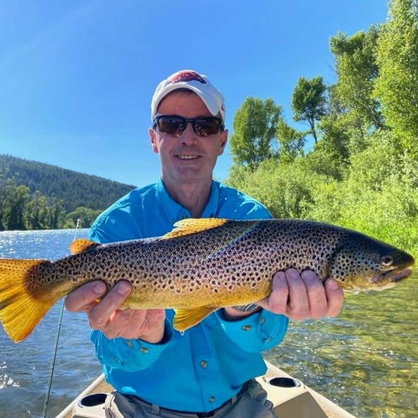 south fork brown trout fly fishing