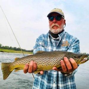 south fork of the snake brown trout