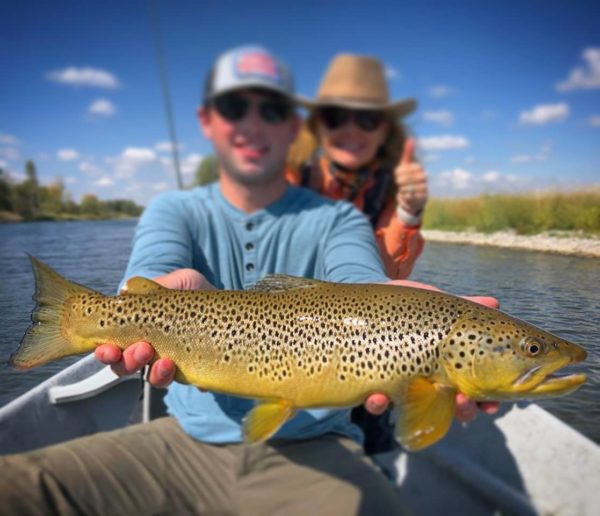 south fork of the snake brown trout