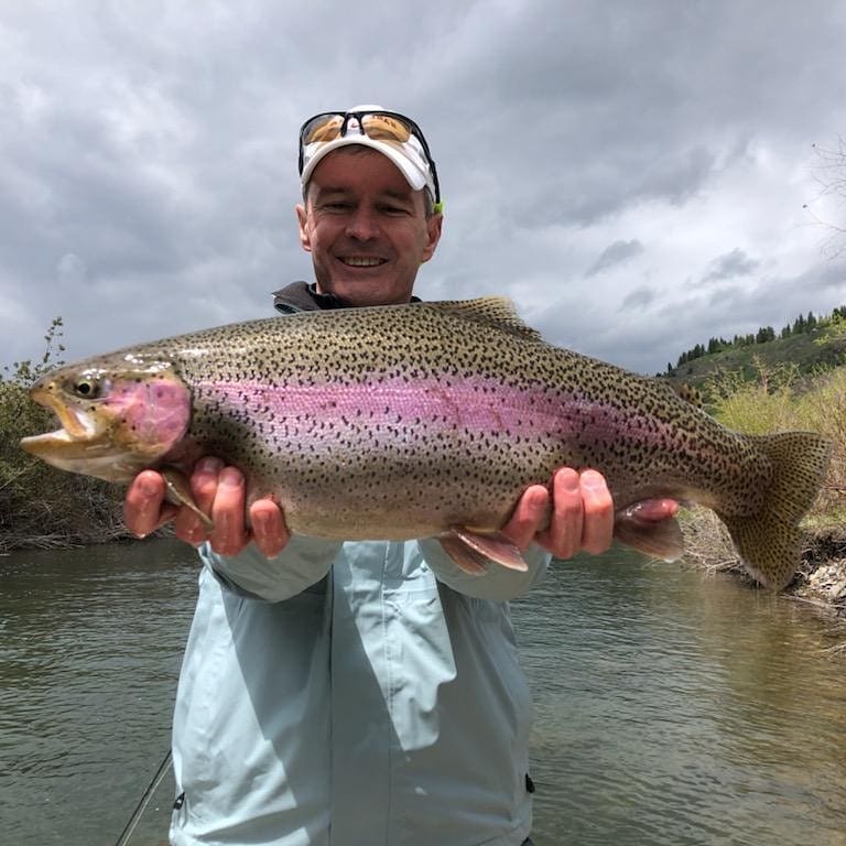 south fork of the snake river rainbow trout