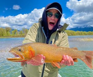 yellowstone cutthroat trout