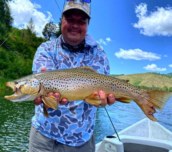 south fork of the snake river brown trout