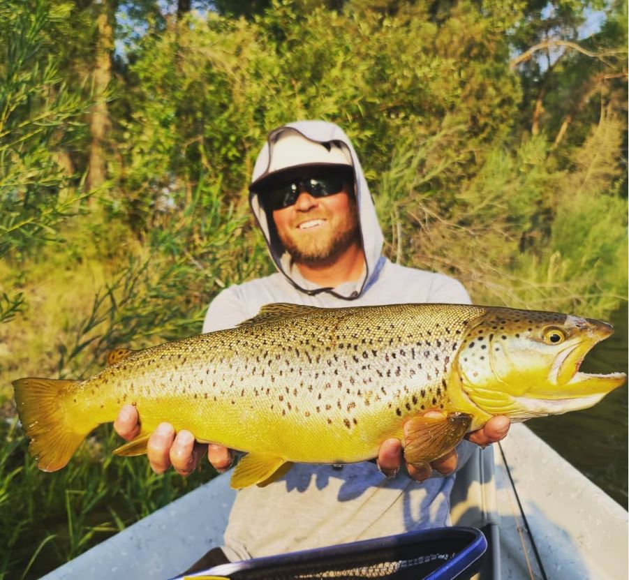 huge brown trout guide scott reimer