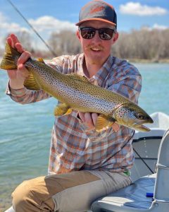 south fork brown trout