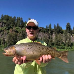 yellowstone cutthroat trout south fork of the snake river
