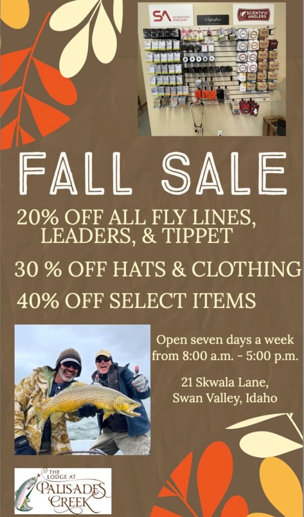 fall fly shop sale