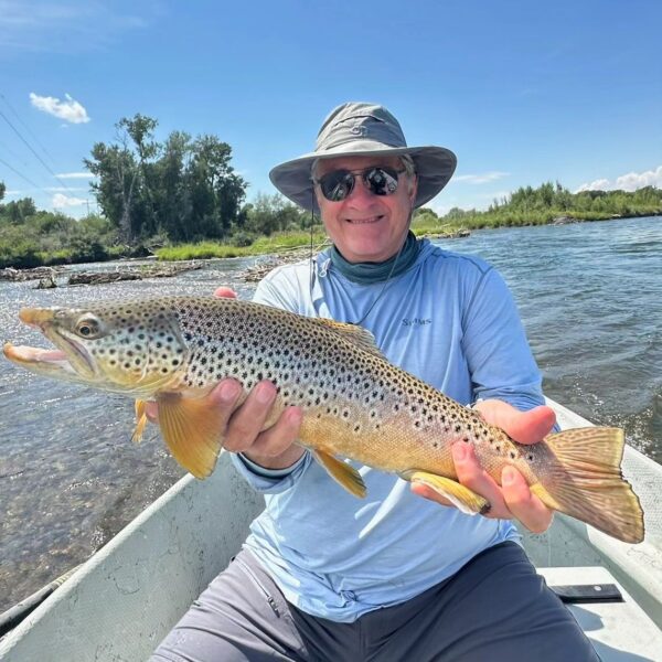 south fork angler with healthy brown trout