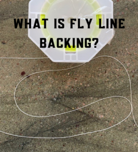 What is fly line backing?