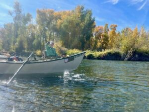 Drift Boat angler with a fish on. South Fork of the Snake River