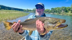 South Fork of the Snake River Brown Trout