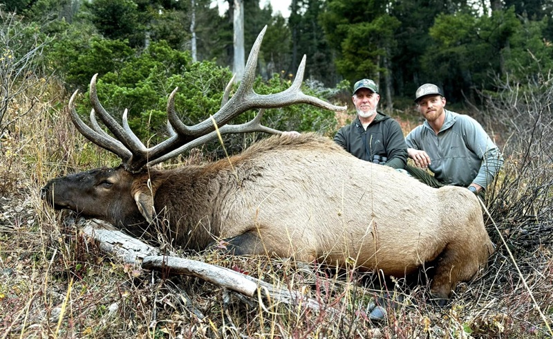 Swan Valley big game hunting with Saw Outfitters
